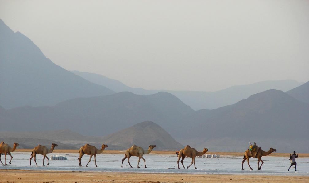 voyages djibouti