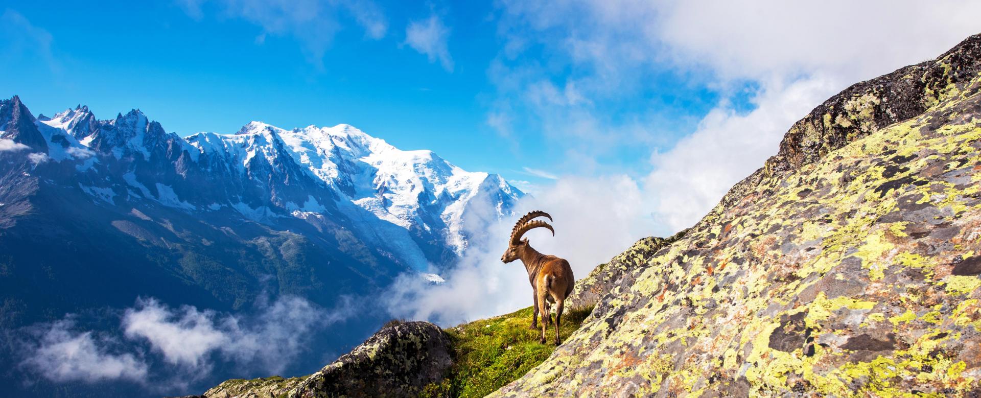 complete-tour-du-mont-blanc-in-comfort
