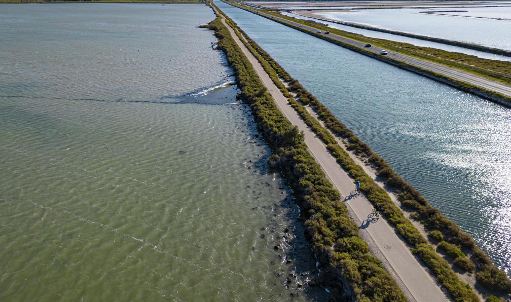 Avignon to Sète by bike: Mediterranean pearls provence-avignon-to-sete-by-bike-mediterranean-pearls