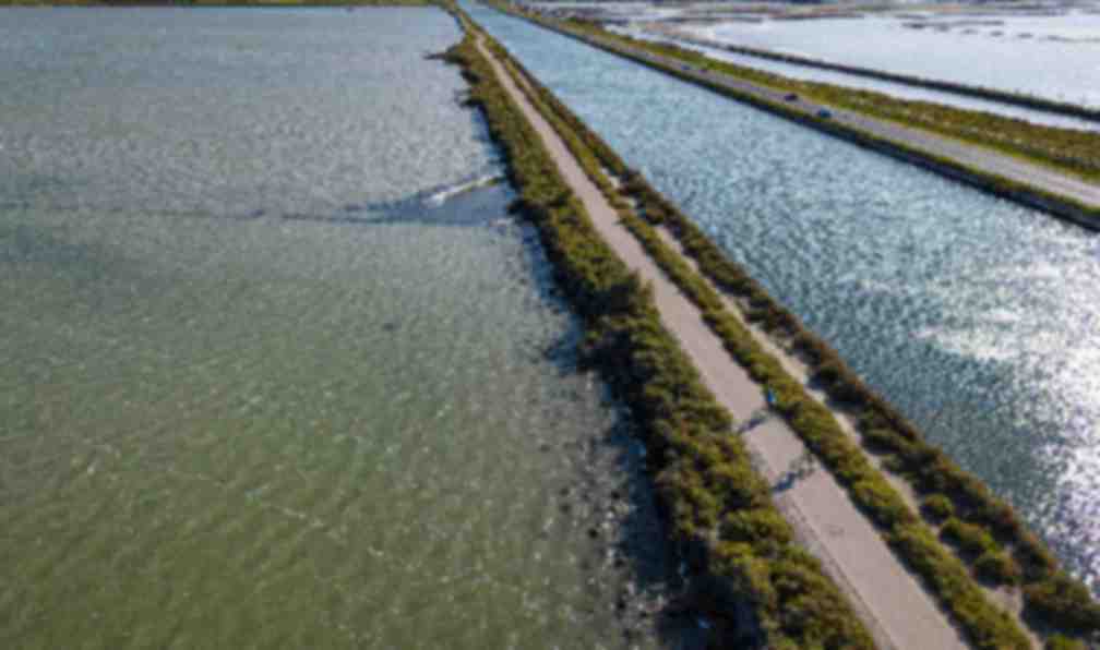 provence-avignon-to-sete-by-bike-mediterranean-pearls