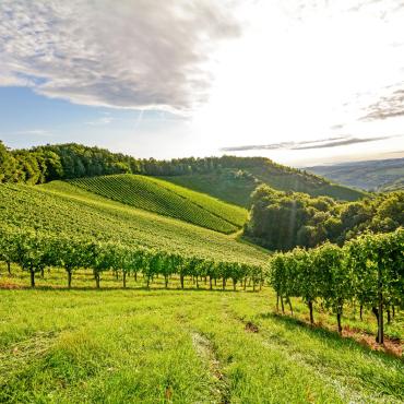 cycling dijon, explore burgundy's terroir