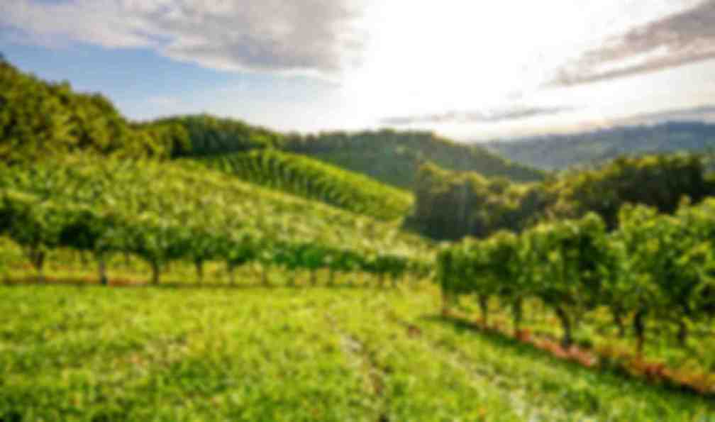 burgundy-cycling-dijon-explore-burgundy-s-terroir