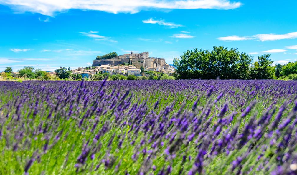 Dannhauer - Simon - Adobe Stock - Champs de lavandes devant le village de Gordes, Lubéron, France - Best Hikes in Provence provence-provence-trip