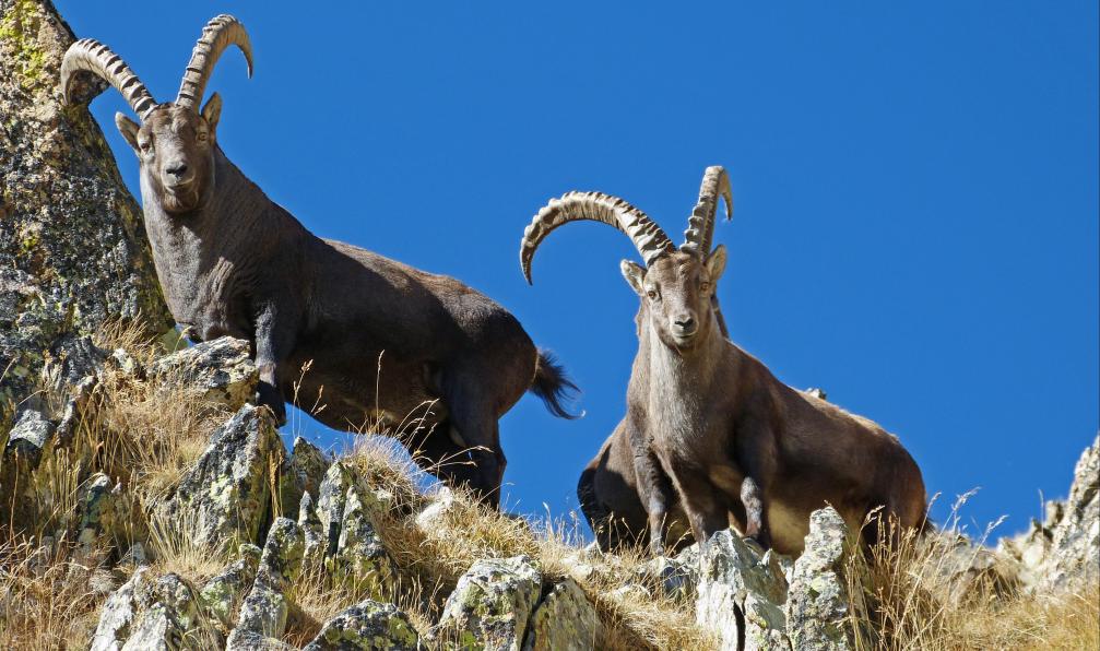 Gr 5 from briançon to menton - GR5 : from Briançon to Nice - Hiking ...