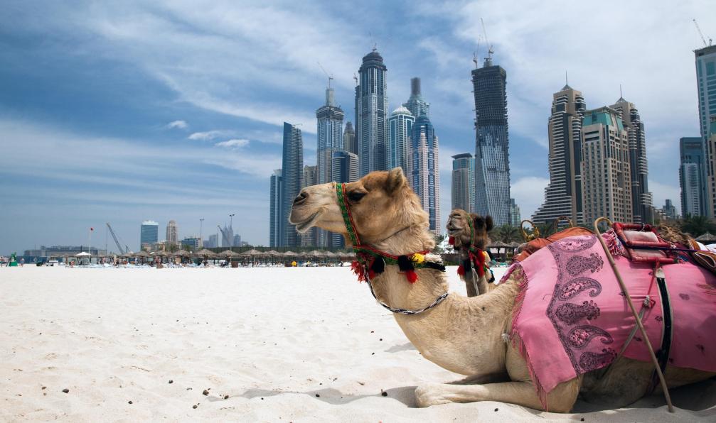 voyages aux emirats arabes unis