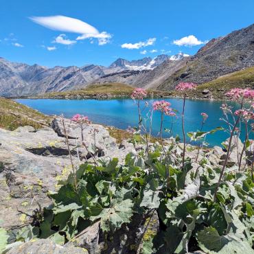 grand paradiso hiking tour