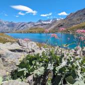 grand paradiso hiking tour