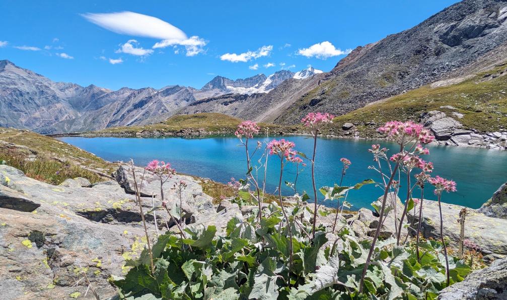 alpes-italiennes-grand-paradiso-national-park-hike