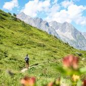 chamonix to courmayeur hike