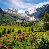highlights of tour du mont blanc
