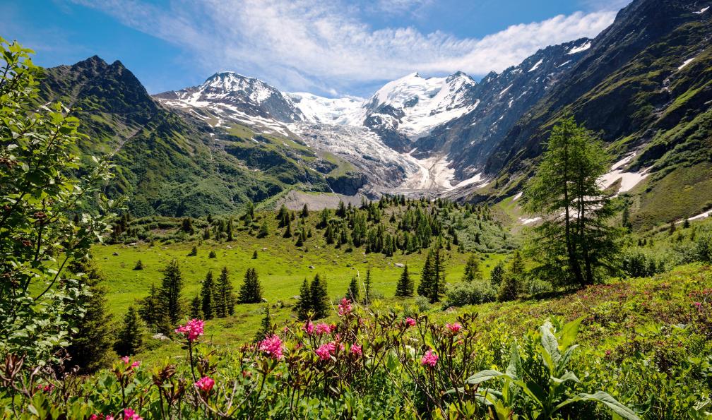 french-alps-highlights-of-tour-du-mont-blanc