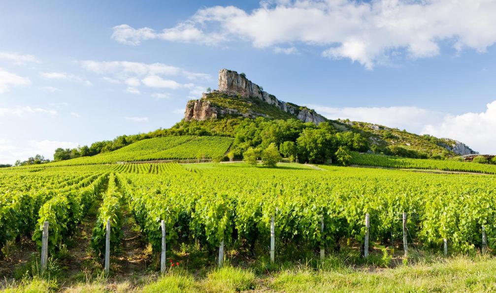 Fotolia - Vignes au pied de la roche de Solutré, Bourgogne. - South Burgundy by bike: Chalon Vineyards to Cluny burgundy-burgundy-bike-tour