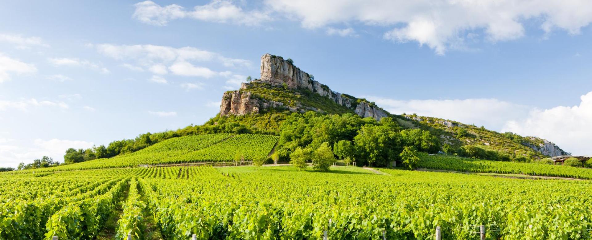 south-burgundy-by-bike-chalon-vineyards-to-cluny