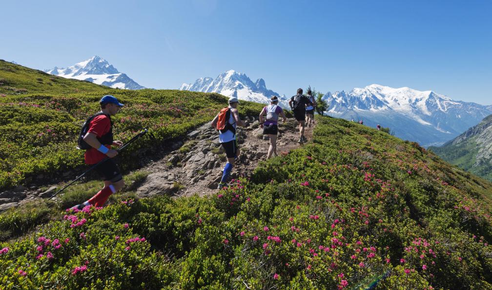 316854137 - André - Adobe stock - Groupe faisant le trail de de Chamonix, Mont-Blanc;France stage-trail