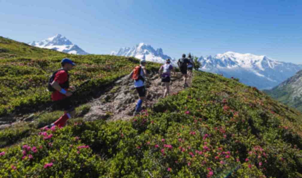 stage-trail