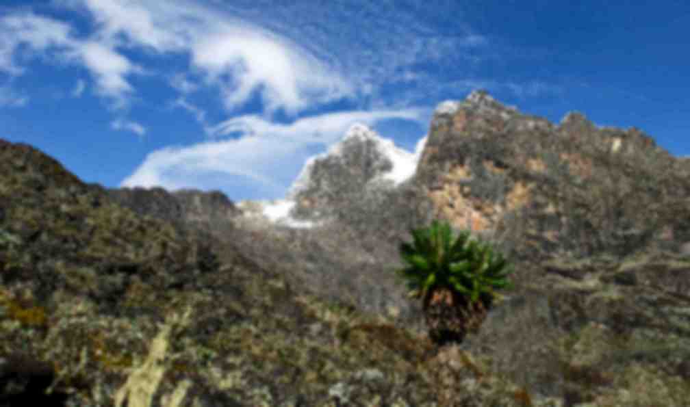 trekking ouganda