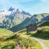 © Xavier_and_Caroline - Chalet sur fond de Glacier des Glaciers, tour du Mont-Blanc, Alpes, France best of the classic walks around the mont blanc