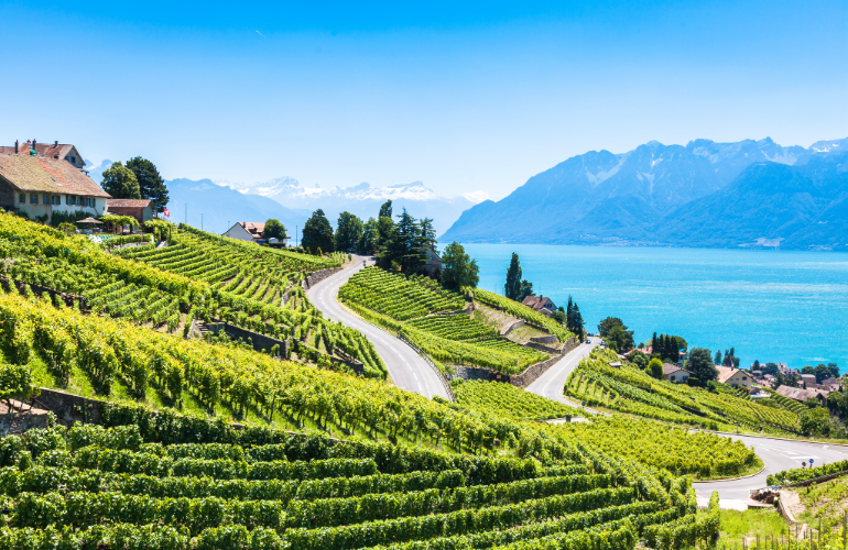 Vignoble de Lavaux, Suisse
