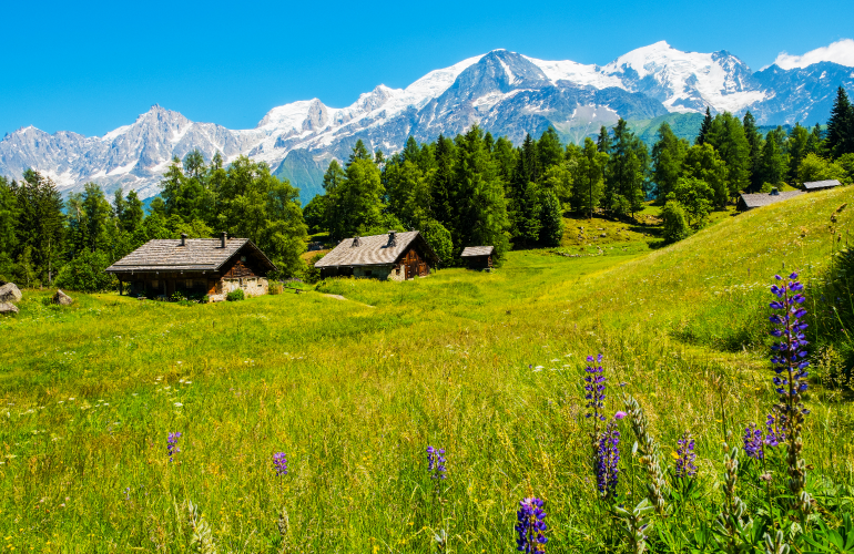 Tour du Mont Blanc