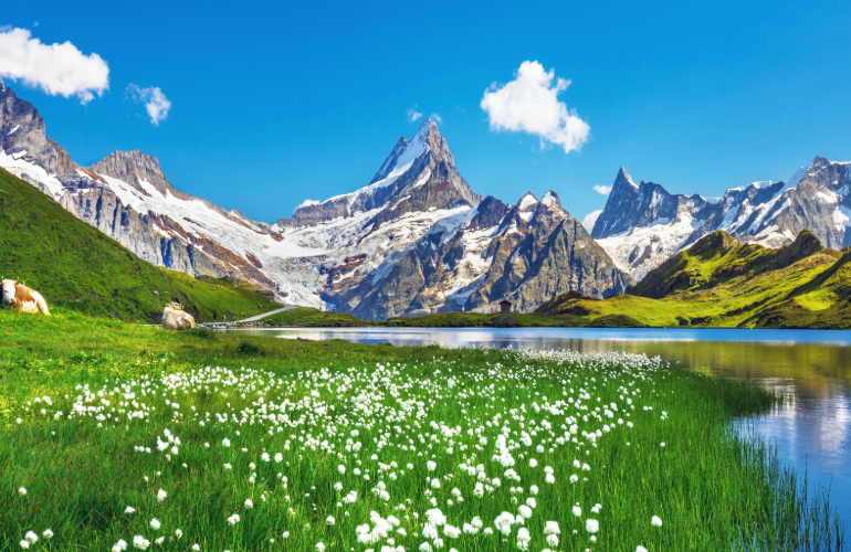 Bernese Oberland, Suisse